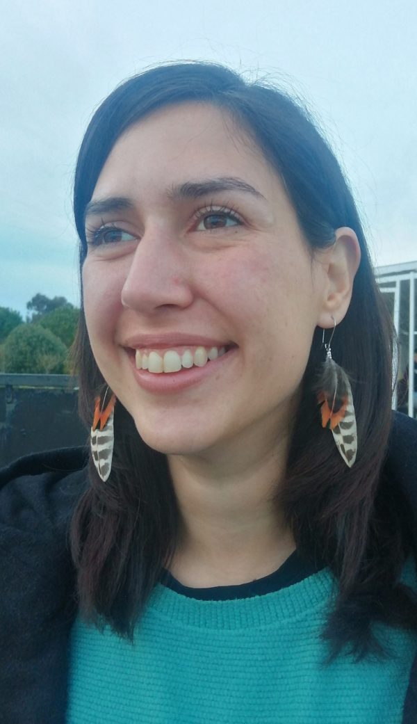 Pendientes plumas